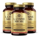 Solgar L-Lysine 500 mg - 100 Vegetable Capsules, Kemas 3 - Skin & Tissuls Dukungan - Non-GMO, Vegan, Kosher, Gluten Free - 300 Total Servings