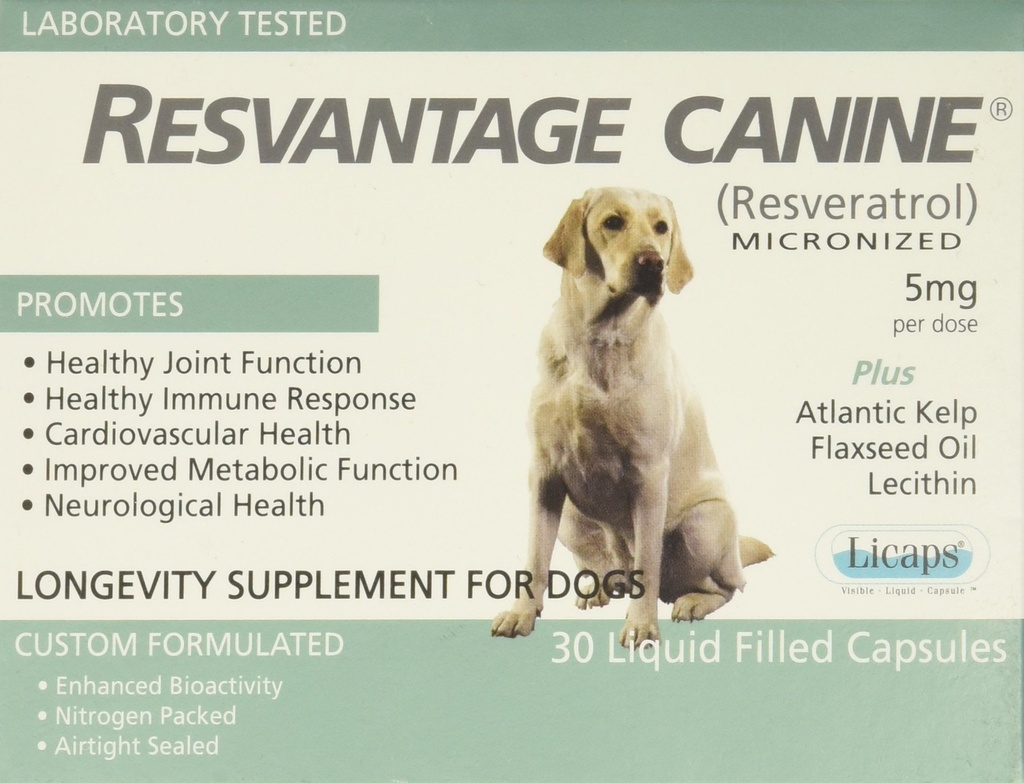 Canine Pengalihan