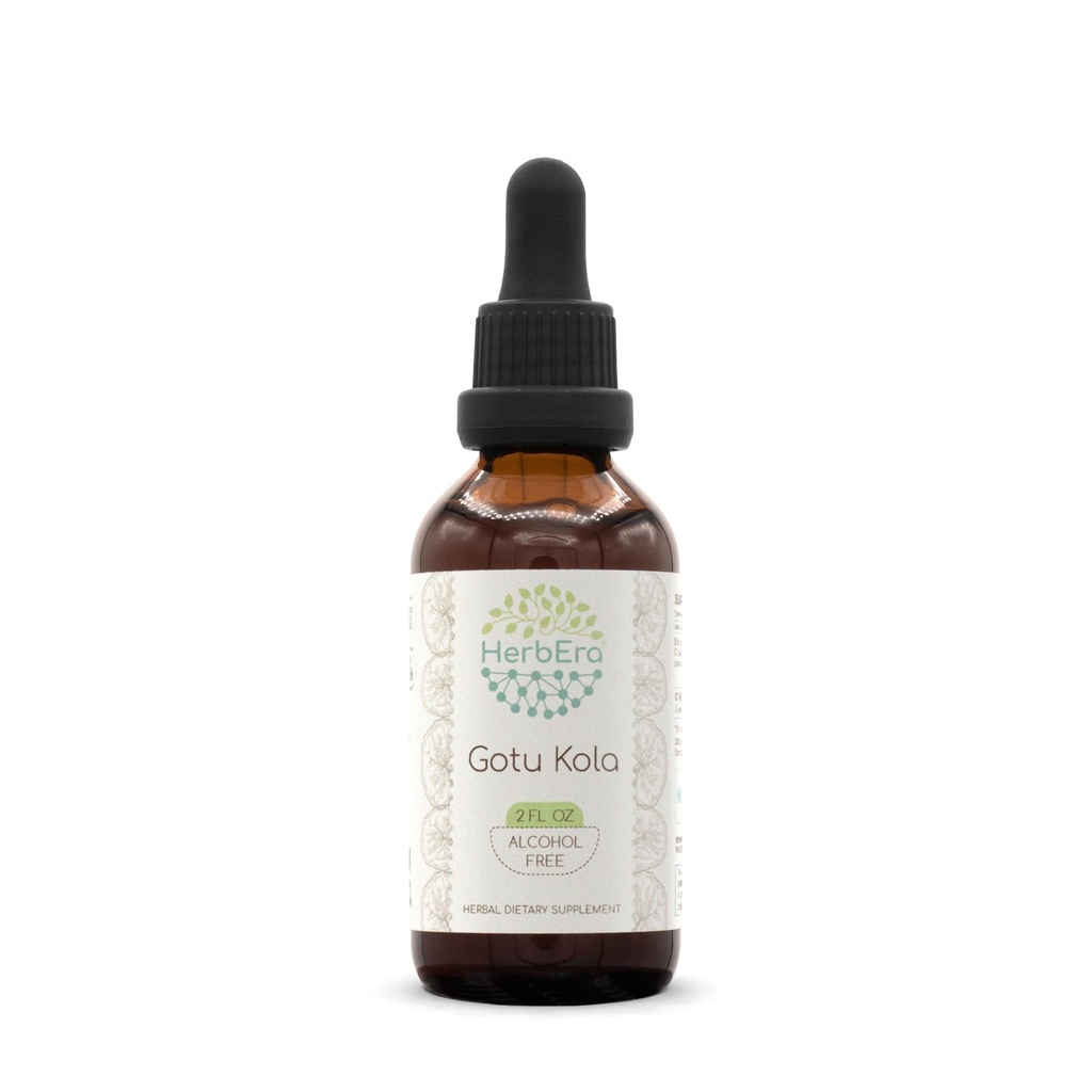 Gotu Kola B60 Ticture Alcohol-Free Herbal Extract, konsentrasi Cair Drops Natural Gotu Kola (Centella Azaatica) 2 fl oz
