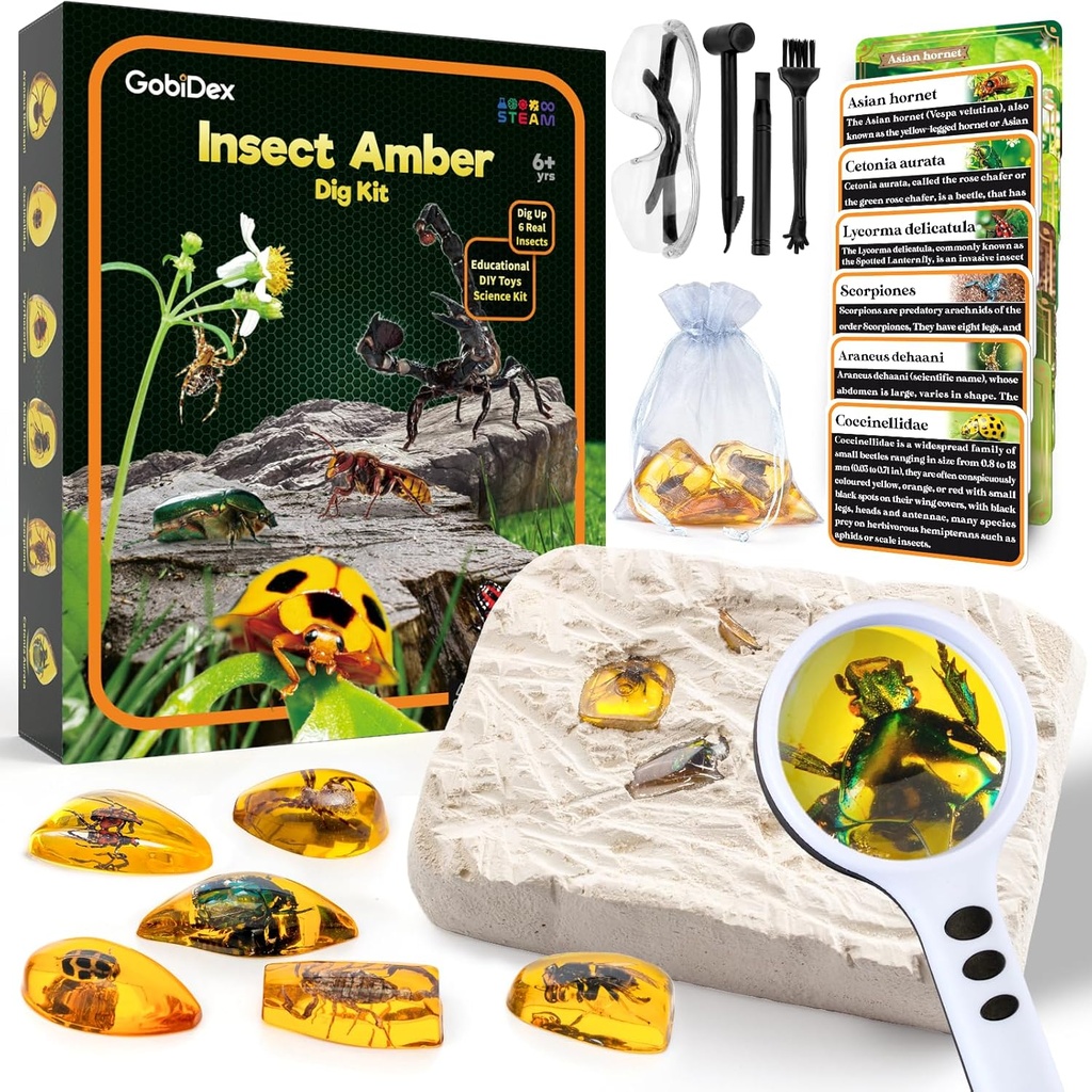 GobiDex Amber Dig Kit-Articial Insect Resin, Excavate 6 Inseps Specimens, STEM Geographic Educure Toys, Excavation Toys for Fun Bugs Party Favors, Science Kits for Kids Age 6-8-12