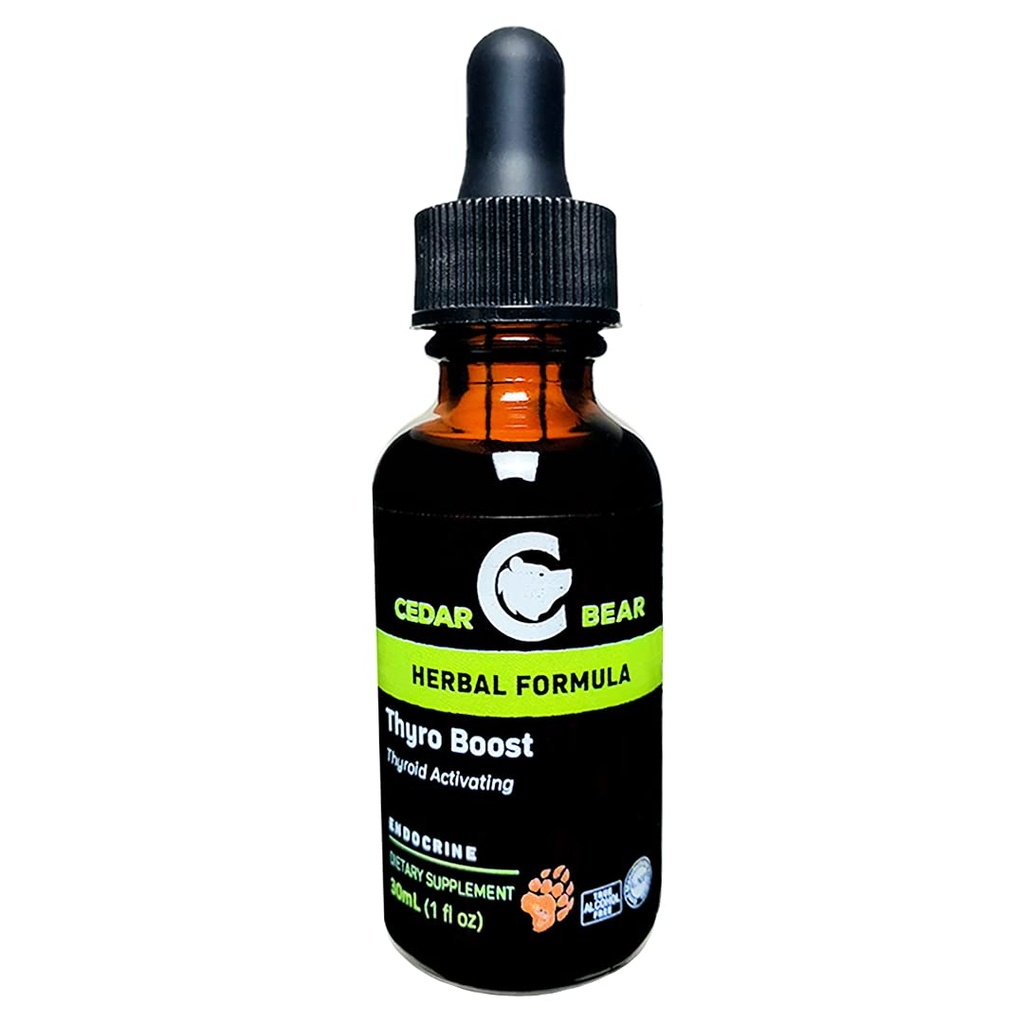 Cedar Bear Thyro Boost a Liquid Herbal Supplemen Yang Membantu Aktifkan dan Membangun Fungsi Thyroid dan Structural Integritas 1 Fl Oz
