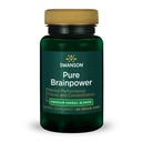 Swanson Pure Brainpower Health Cognitive Memory Focus Dukung Brain- Derimetrophic Factor (BDNF) Herbal Suplemen (Ginkgo Biloba, Bacopa Monnieri) 60 Veggie Capsules (Veg Capules) Vegan