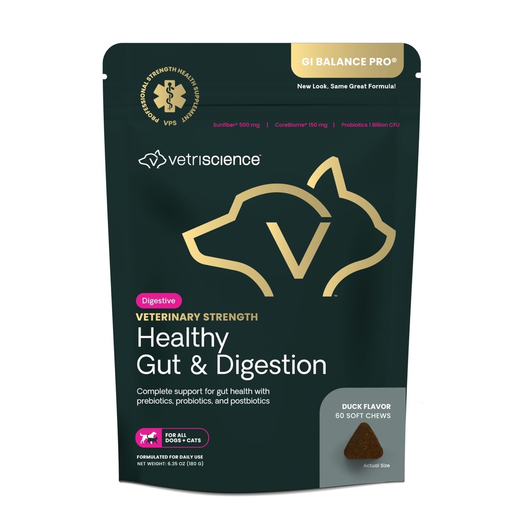 VetriScience Veterinary Energy Healthy Gut & Divalry - Pet Digetical Health & Dogs - Gut Health & Ammune Support - Features Progories, Pretency & Postbile - 60 Count