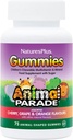 NaturesPlus Animal Parade Sumber Kehidupan Gummies - Natural Orange, Grape dan Cherry Flavors - 75 Tipe Gummies - Whole Food Kid Multivitamin - Gluten- Free - 37 Servings