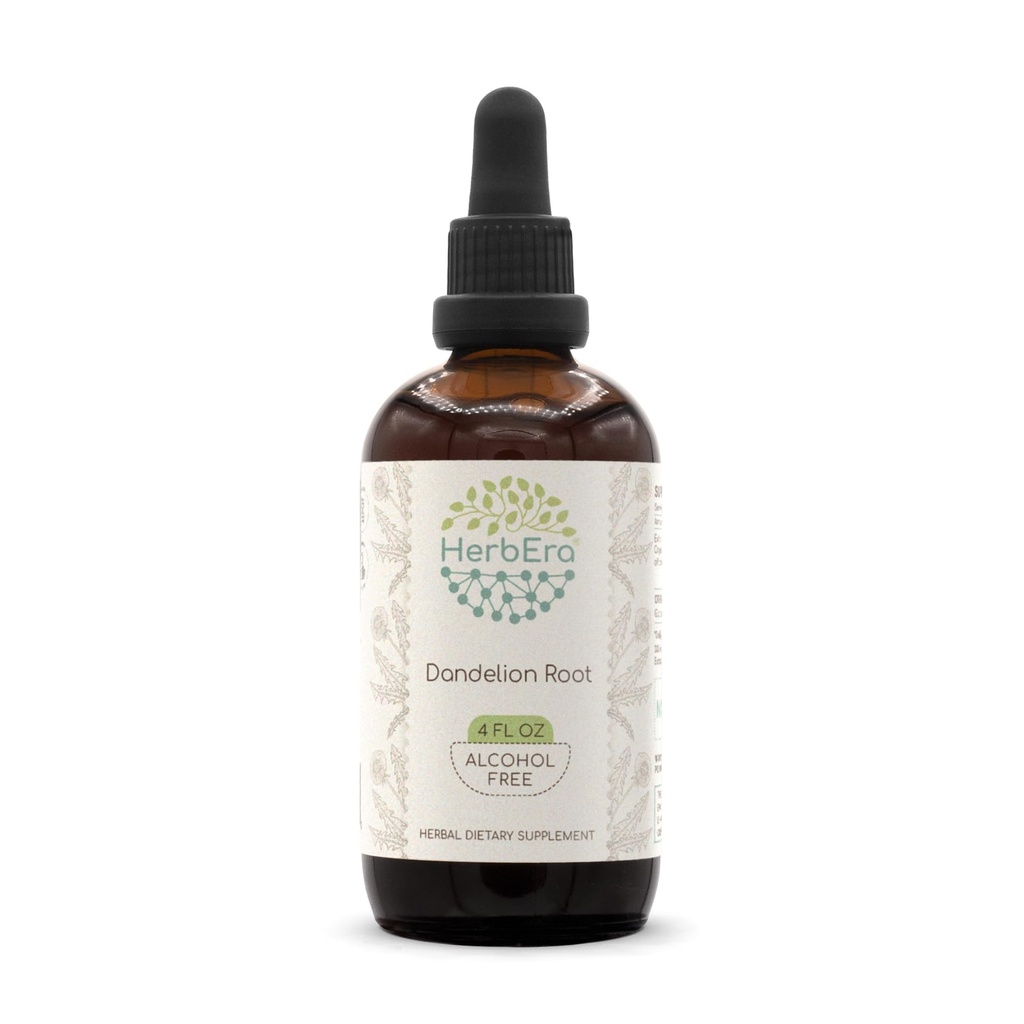 HerbEra Dandelion Root B120 Alcohol- Free Herbal Extract Tincture, Super- konsentrasi Dandelion (Kantor Taraxacum) Root kering (4 fl oz)