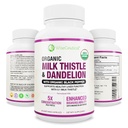 Max Absorpsi USDA Organic Milk Thistle Scan 5: 1 Extract konsentrasi (2000mg Kekuatan) & Organic Dandelion Root 124; Silymarin Antioksidant Flavonoid 124; Dukungan Hati (60 Count (Paket 1)