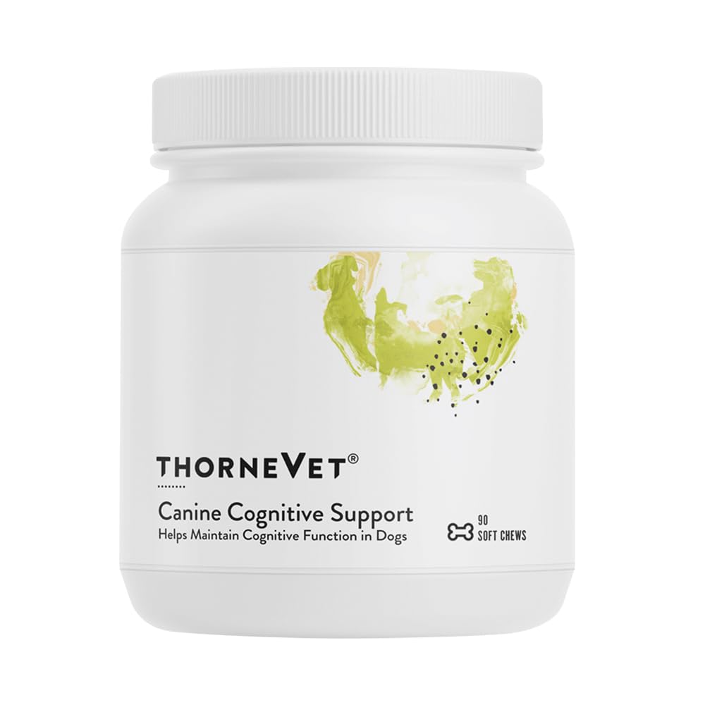 Dukungan ThorneVet Cognitive Soft Chews for Dogs - Great Tasting Health Supplement with B Vitamin and Antioksidants to Dukung The Brain Health of Your Senior Dog - 90 Soft Chews