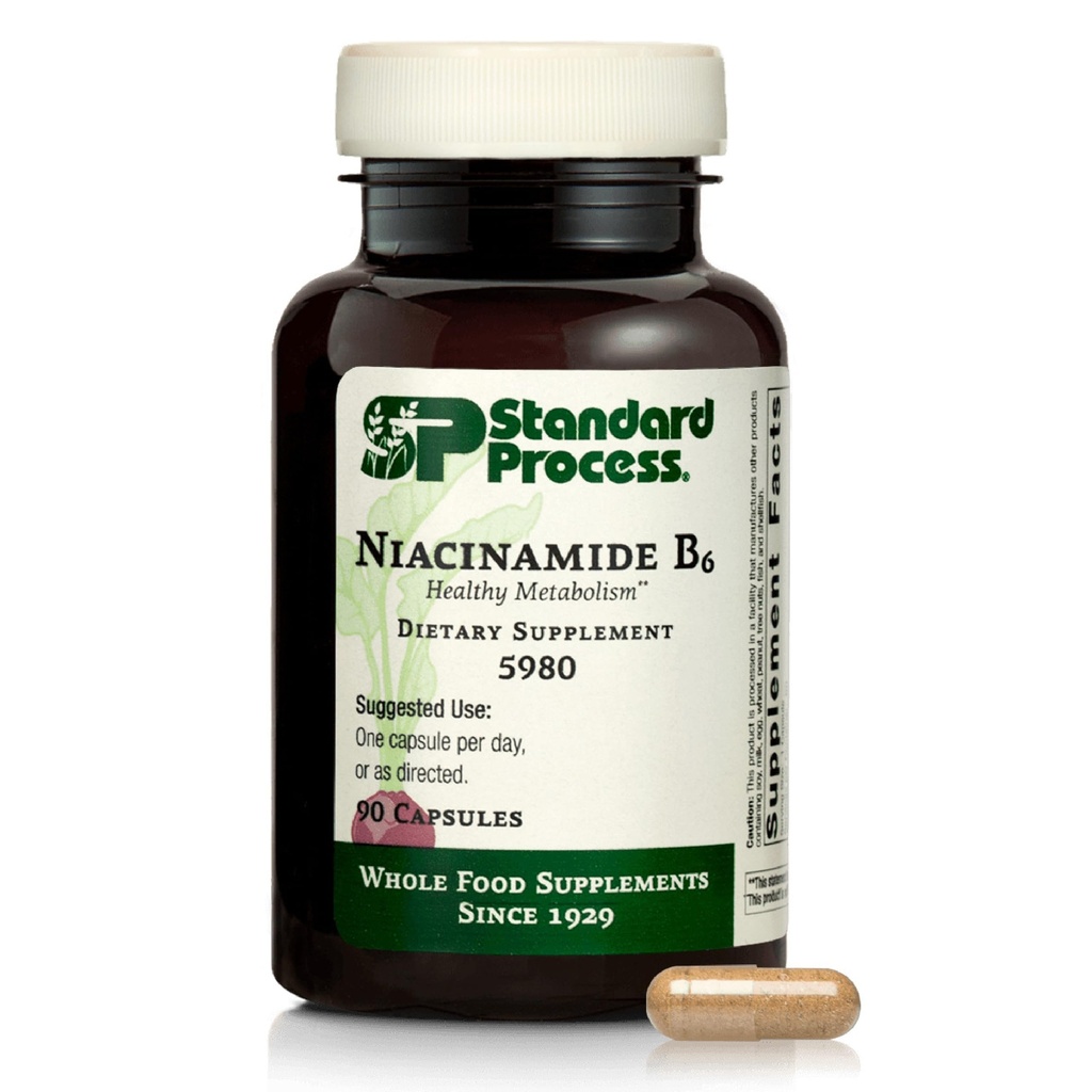 Proses Standar Niacinamide B6 - Mendukung Metabolisme Energi & Kesehatan Sistem Gugup - Aids Kesehatan Darah & Digepsi dengan Niasin & Vitamin B6 - Non-Dairy - 90 Capsules