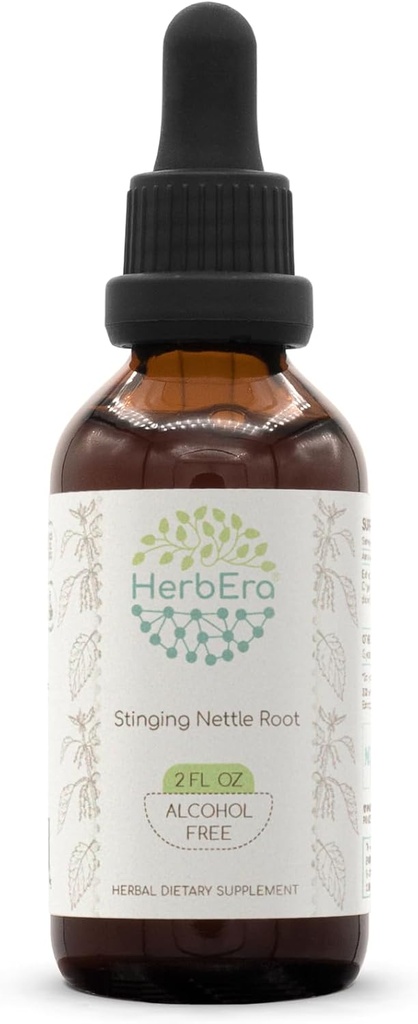 Stinging Nettle Root B60 Alcohol- Free Herbal Extract Tincture, konsentrasi Liquid Drops Natural Stinging Nettle (Urtica Dioica) Root kering (2 fl oz)