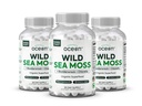 Organik Laut Liar Moss Kapsul - 100% Massa Laut Organik dengan Chlorella Organik, Bladderwrack dan Vitamin D untuk Energi, Kesehatan Lung dan Dukungan Thyroid untuk Perempuan dan Pria - 3 Botol