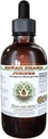 Juniper Alcohol- Free Liquid Extract, Organic Juniper (Juniperus Monosperma) Kering Berry Glycerite Hawaii Pharm Natural Herbal Suplemen 4 oz