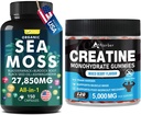 Sea Moss & Creatine Monohydrate Gummies Bundle 270 Count - Organic Sea Moss Black Seed Oil Aşhwaandha Ginger & Creatine Monohydrate (2 Pack)