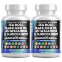 Bersihkan Nutraceuticals Sea Moss Black Seed Oil Ashwagandha Turmeric Bladdercrack Burdock & Vitamin C D3 dengan Elderberry Manuka Dandelion Yellow Dodin Chlorofil ACV - 2Pack