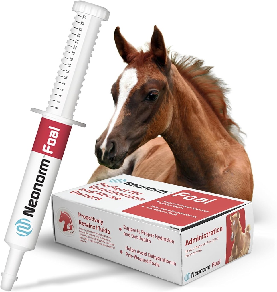 Jaguar Animal Health Foal - Equine Supplement Paste for The Dupport of Proper Hydration & Bowel Health