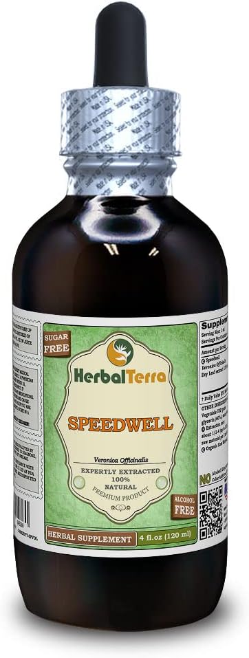 Speedwell (Veronica Officinalis) Glycerite, Organic Died Leaves Alcohol- Free Liquid Extract (Nama Merek: HerbalTerra, Proughtly Made in USA) 4 f.oz (120 ml)