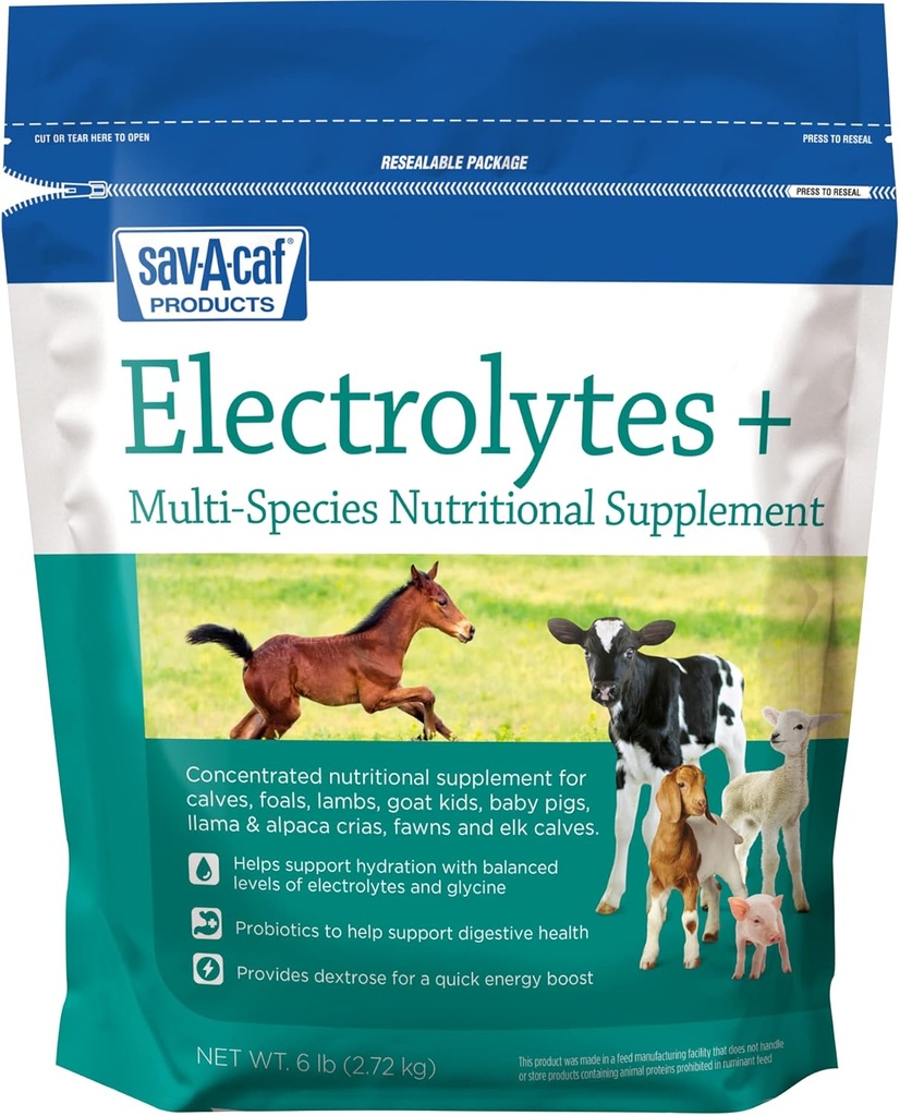 Save-a-Caf Electrolytes Plus ™ Supplement 12.4; 6 Pound (6 LB) Bag