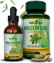 Suplemen Ekstraksi KIKI Green Mullein Capsules & Liquid Drops Bundle - Mullein Leaf Ekstraksi, 90 Capsules + 2 quid oz - untuk Repiratory & Imunity Dukung, Lung Fungsi Lebih Baik, Lung Cleanse & Relief