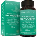 Viva Pycnogenol - 100mg French Maritime Pine Bark Extract - Supports Circulation, AntioksidantLike Activity, Joints & Immune Health and Fungsi - 60 Vevgie Capsules