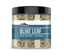 Elemen bumi Olive Leaf Ekstrak 200 Capsules, Murni & Undiluted, Tidak Ada Addonist