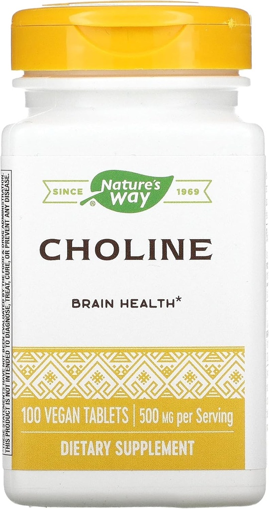 NATURES WAY 500Mg 100 Tb Chooline, 100 CT