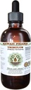 Tribulus Alcohol- Free Liquid Extract, Tribulus (Tribulus Terrestris) Dried Fruit Glycerite Natural Herbal Suplemen, Hawaii Pharm, USA 2 fleroz