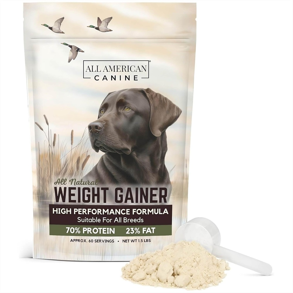 Persediaan Makanan Anjing Kalorie Tinggi dan Powder Protein untuk Gain Weight Rapid, Mass, and Recovery