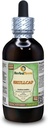 Skullcap (Scutellaria Lateriflora) Glycerite, Organic Dry Herb Alcohol- Free Liquid Extract (Nama Merek: HerbalTerra, Proughtly Made in USA) 4 f.oz (120 ml)