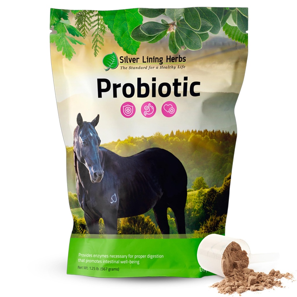 SilverLiningHerbHorse Progetic Digetical Suplemen Digetical Enzyme & Gut Health Probiotic Supplemen Kuda - Berisi 13,2 Milyar CFUs Probiotic Strain - 1.25 lb 60- Day Supply