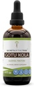 Rahasia dari Tribe Goto Kola Tincture Ekstrak Alkohol, Gotu Kola (Centella Asiatica) Rim Herb (4 FL OZ)