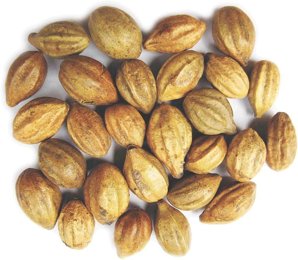 Terminalia Chebula 124; Kadukkai 124; Harad 124; Inknut 124; Haritaki Indian Origin Herbs (200g (0)))