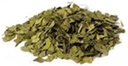 Botanicals Terbaik Ginkgo Leaf Cut 16 oz.