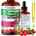Dukungan Treatment Natural UTI MaxBuddy - Cranberry Urinary Tract Care & Prevention Assistance for Cats and Dogs - Ginney & Bladder Wellness Supplemen - Dukungan untuk Urine Flow