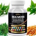 Sea Moss 3000mg Black Seed Oil 2000mg Ashwagandha 10000mg Bladderwrack 10000mg Turmeric 1000mg Burdock 1000mg Vitamin C & D3 Elderberry Manuka Dandelion Dock Chlorofil ACV