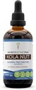 Rahasia Suku Kola Nut Tincture Alcohol- Ekstrak Bebas, Kola nut (Cola Acumination) Kering Nut (4 FL OZ)