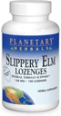 Planetary Herbals Slippery Elm Strawberry Lozenges, Herbal Throat Dukungan, 100 Lozenge