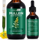 Ekstrak Daun Mullein bagi Lungs, Drops Mullein untuk Lungs, Dukung Lung, Repiratory Fungsi untuk Pernapasan Heally, Improvement in Pulmonary Factive, Natural & Safe Supplemen (1 PC)