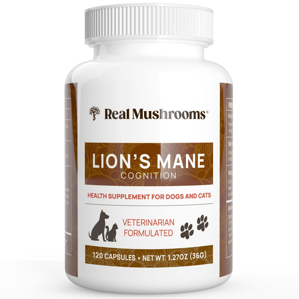 Jamur Real Mane Pet Mushroom - Pet Wellsbeing Kapsul - untuk Tambahan Cat & Dog & Vitamin - Dukung Mindful Routines - Organik, Vegan, Non-GMO, 120 Count