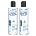Dermasolve Eczema Relief Shampoo - Flare Control Scapp & Dandruff Free Therapy That Protects, Moisturizes, and Repair Skin for Kids & Adults - Steroid Free (2-Pack)