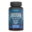 Suplemen Turkesteron (500mg) Ajuga Turkestanica, Impprove Lean Muscle Mass, Exercise Performance, Imprecovery Muscle Imprevery with Our Softgel Absorpsi Technology (60 Softgels)