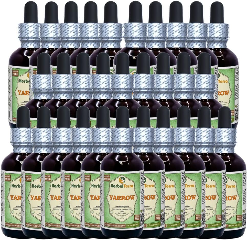 Yarrow (Achillea Millefolium) Glycerite, Organic Dry Flowers Alcohol- Free Liquid Extract (Nama Merek: HerbalTerra, Proughtly Made in USA) 30x2 Fl.oz (30x60 ml)