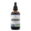 Rahasia Suku Muira Puama Taincture Alcohol- Ekstrak Liquid Bebas, Muira Puama (Ptychopetalum Oyacoides) Dry Bark (4 FL OZ)