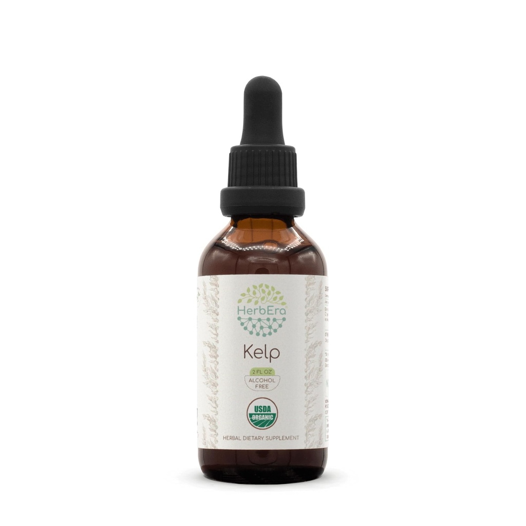 "HerbEra Kelp B60 USDA Organic Tincture 124; Alcohol-Free Extract", High- Potency Herbal Drops --124; Certified Organic Kelp (Assofil nodotum) Dry Plant (2 oz)
