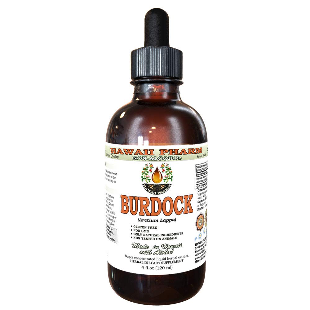 Burdock Alcohol- Free Liquid Extract, Organic Burdock (Artium Lappa) Root Kering Glycerite Hawaii Pharm Natural Herbal Suplemen 4 oz