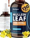Biolica Mullein Drops for Lungs - Kekuatan Tinggi 150000mg per 4lF oz Tincture - 120 Pelayan di 1.250mg per Dose - Lung Detox & Bronchial Cleanse - Coconut Flavour
