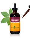 Herb Pharm Eleuthero (Siberian Ginseng) Root Liquid Extract for Energy and Stamina, Cane Alkohol, 4 Ounce