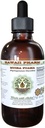 Muira Puama Alcohol- Free Liquid Extract, Organic Muira Puama (Ptychopotalum Oyacoides) Glycerite Natural Herbal Supplemen, Hawaii Pharm, USA 4 oz