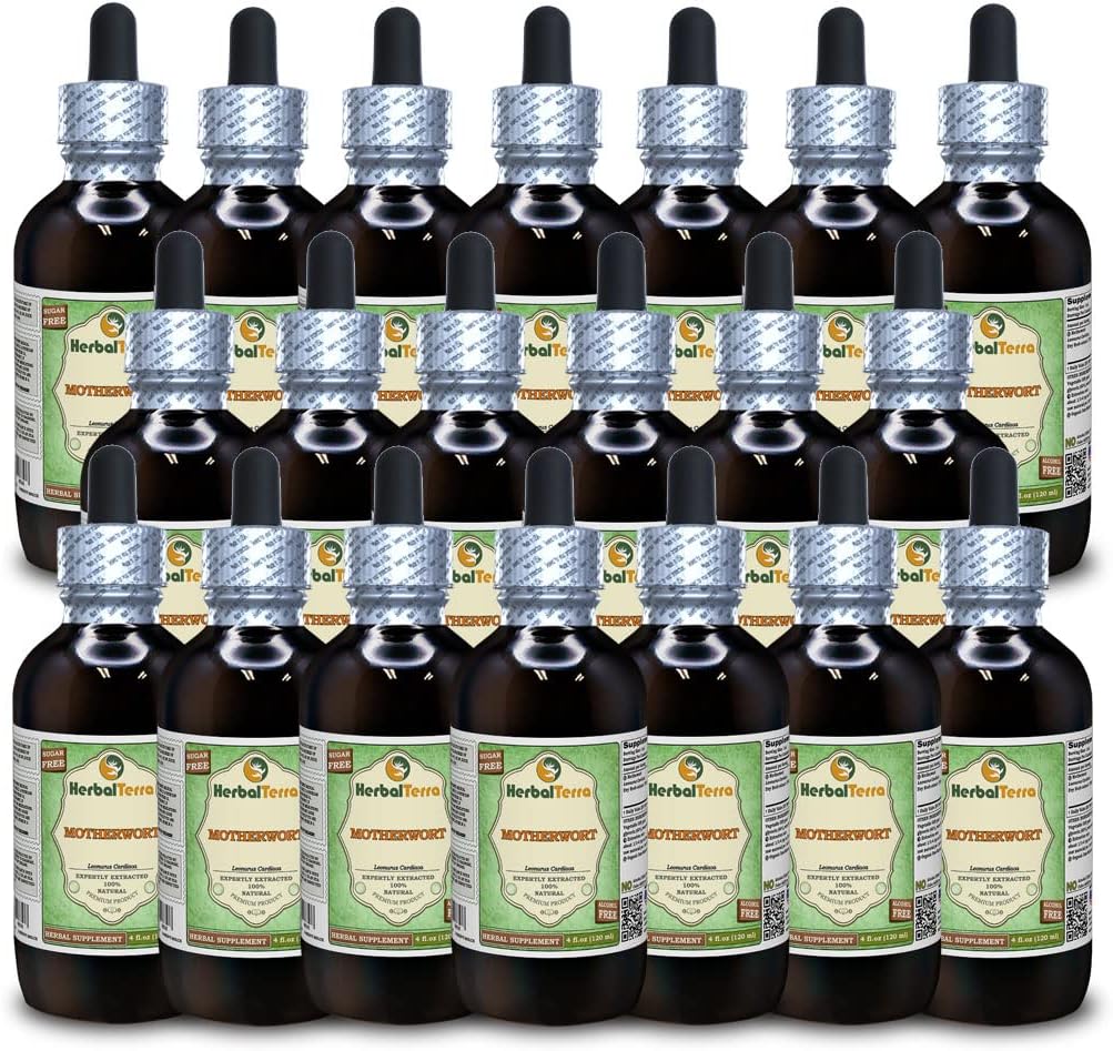 Motherwort (Leonurus Cardiaca) Glycerite, Organic Dry Herb Alcohol- Free Liquid Extract (Nama Merek: HerbalTerra, Proudly Made in USA) 20x4 F.oz (20x120 ml)