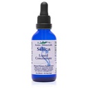Eidon Liquid Silica Mineral Konsentrat - Silica Suplemen untuk Rambut, Kulit dan Nails, Drops untuk Dukungan Produksi Collagen, Membantu Manage Calcium, Tidak Ditambahkan Gula - 2 oz