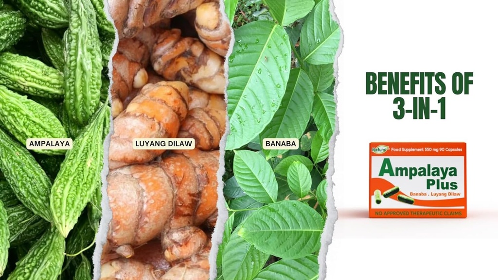 Ampalaya Plus 550mg 90 Kapsul - pak 1 - dengan Banaba, Turmeric Ginger dan Bitter Melon oleh Amplaiya Plus - Halal Herbal Suplemen