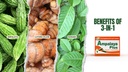 Ampalaya Plus 550mg 90 Kapsul - pak 1 - dengan Banaba, Turmeric Ginger dan Bitter Melon oleh Amplaiya Plus - Halal Herbal Suplemen